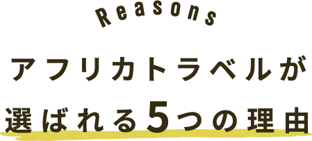 アフリカトラベルが選ばれる5つの理由